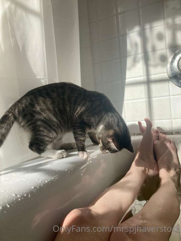 This week’s silly Sunday post… someone wanted to take a bath.. 1