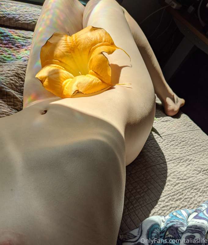 Datura, the devil's weed, can cause hallucinations, blacking..