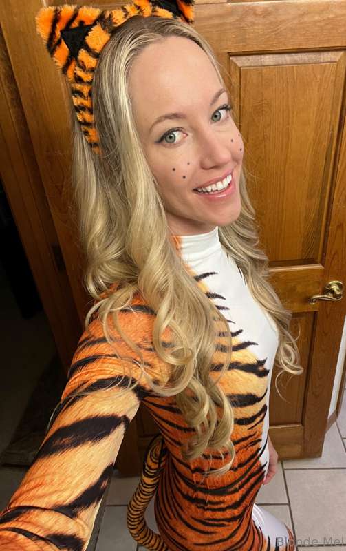 Naught Tiger 🐅