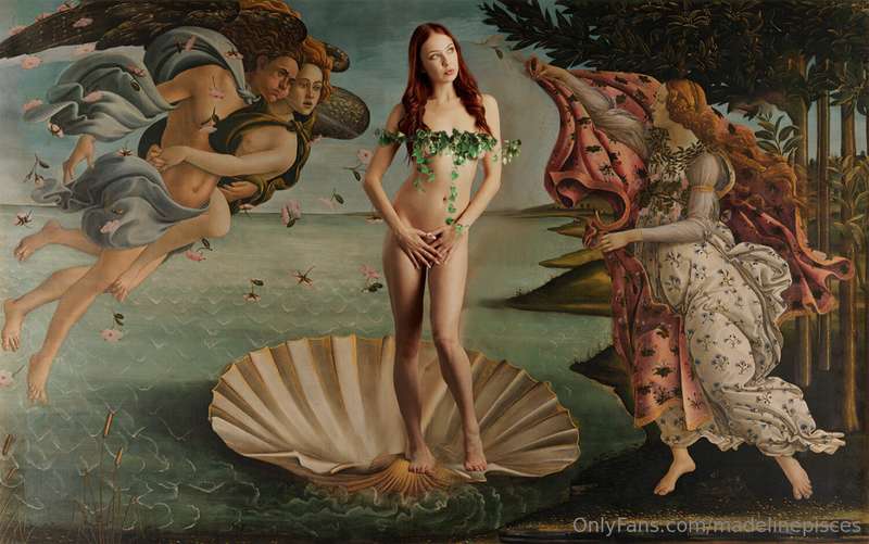 Birth of Venus 🐚