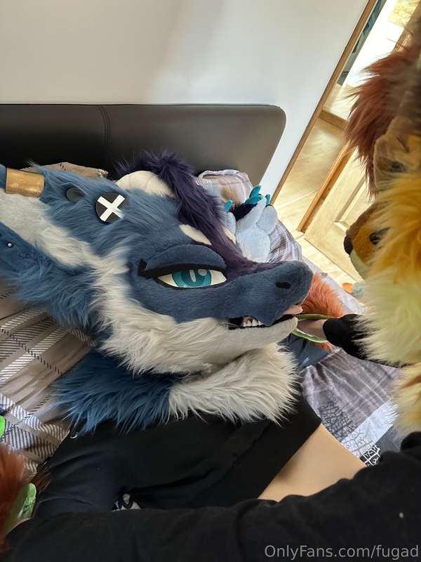 My first pictures with our new suits !  Say Welcome to Fugam.. 35