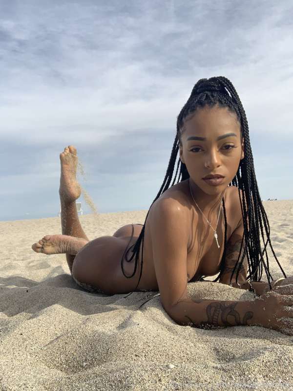 nude beach chronicles