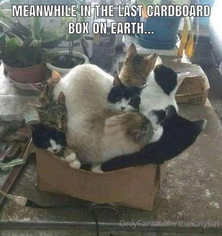 Meme of the Day!