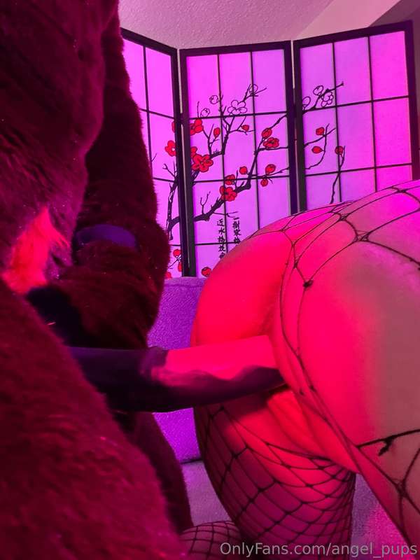 Looks like getting bred by a big stallion is on this weeks m.. 2