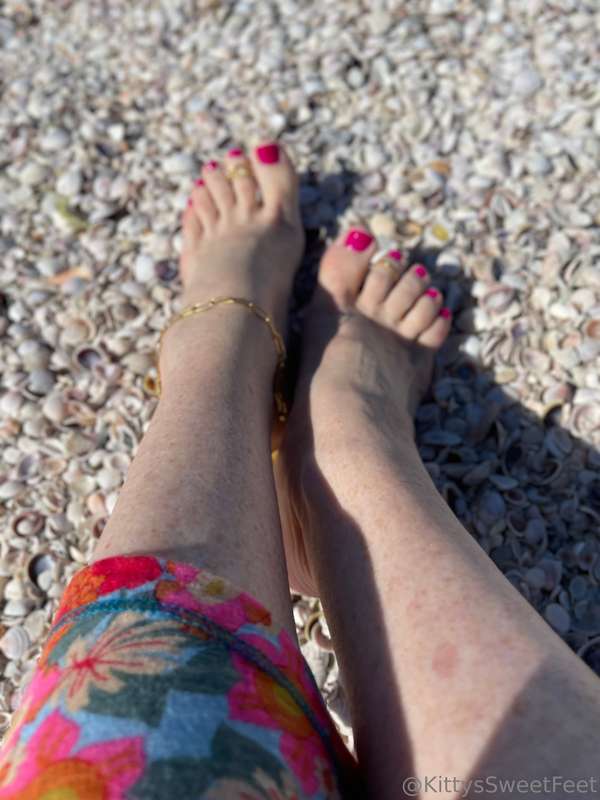 I love all these tiny little shells on the beach.  5