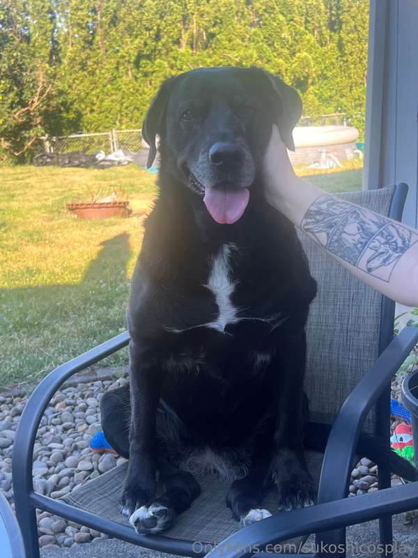 working out again. Also Maggie may is enjoying this weather 2