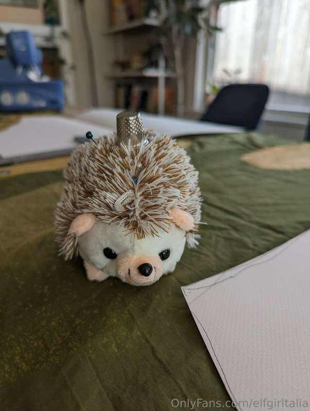Moral support pincushion