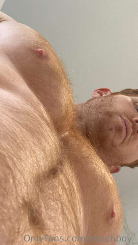 Do you like me hairy? 3