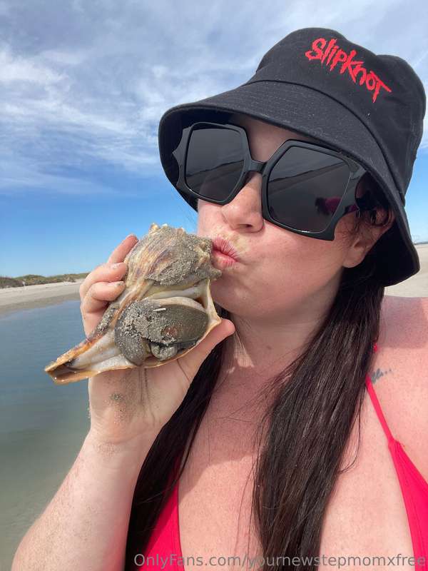 Found a live whelk! 