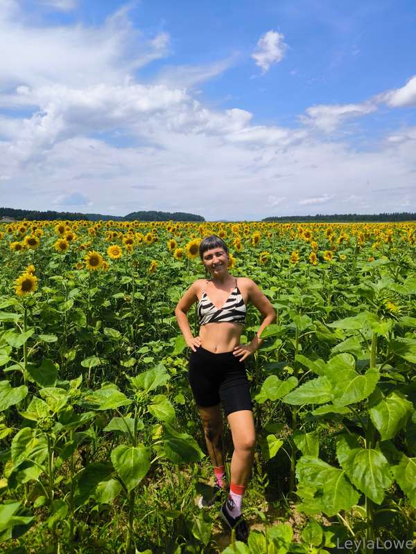 Sunflower field 🌻