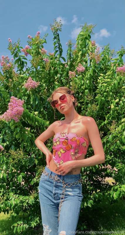 🌸🌸🌸🌸🌸🌸