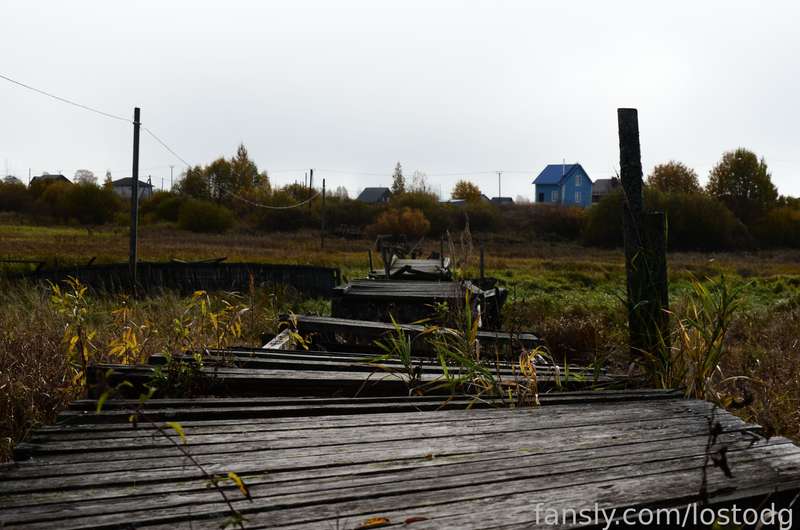 Lostodg - Fansly - 14 Oct, 2022