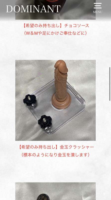 プレイ道具一覧表作った🧳

ドミナント公式ホームページの
私のページから飛べます✨
domi 2
