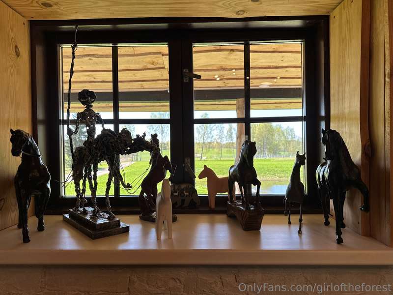 My friends, horses! I absolutely adore horses, even though l.. 4