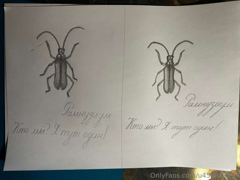 My drawing today with my left and right hand. For some reaso..