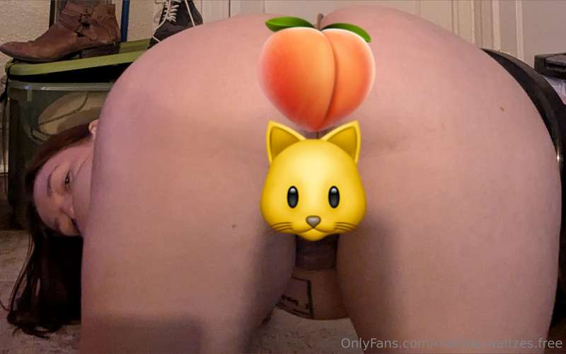 May have gone above and beyond for hump day. There were requ.. 2