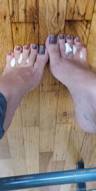 New colour ! 🐘
