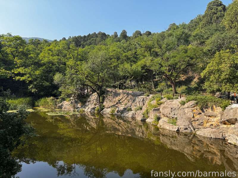 Barmales - Fansly - 17 Jun, 2024 51