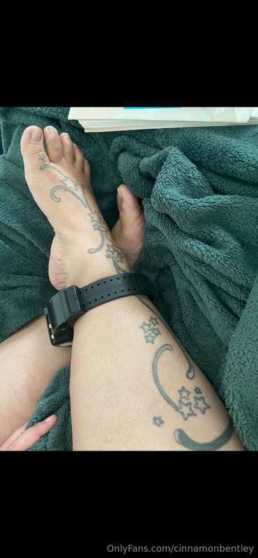 I’m so bored, I want to rate some dicks. Honest typed rates ..