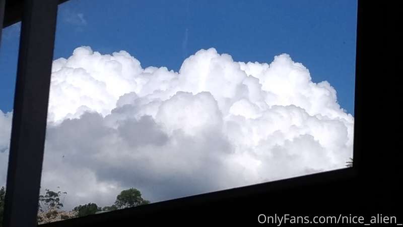 From my window