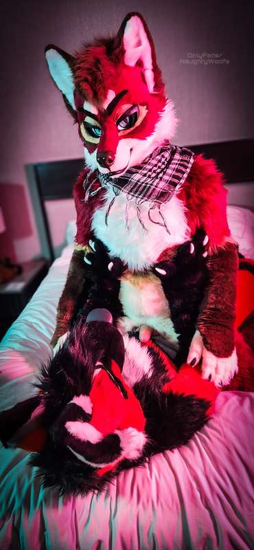 More spicy with this hot fox 🦊🔥  3