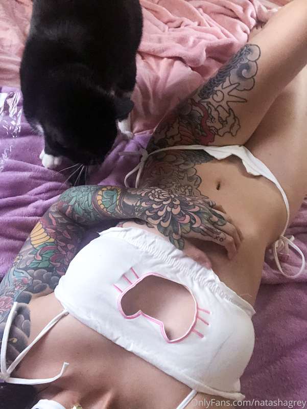Time for some PUSSY PICS 🥰 Which kitty is better black or wh.. 19