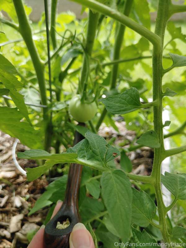 Produce update I have peppers ☺ 3