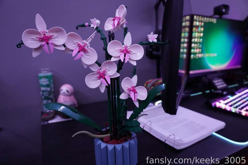 Keeks_3005 - Fansly - 25 Oct, 2023