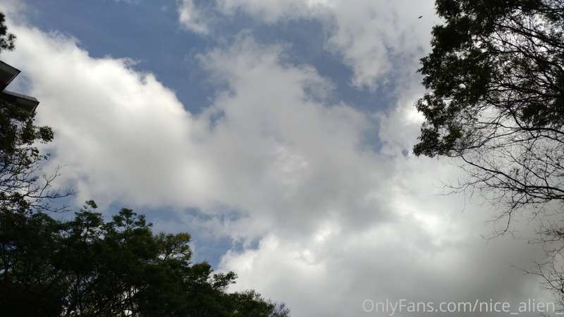 Mixed clouds 5