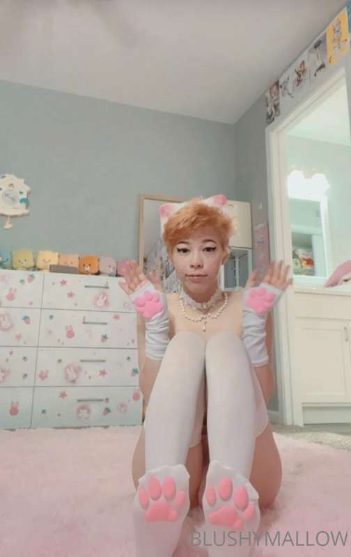 Another kitty girl post :3 what’s your favorite picture? I t.. 5