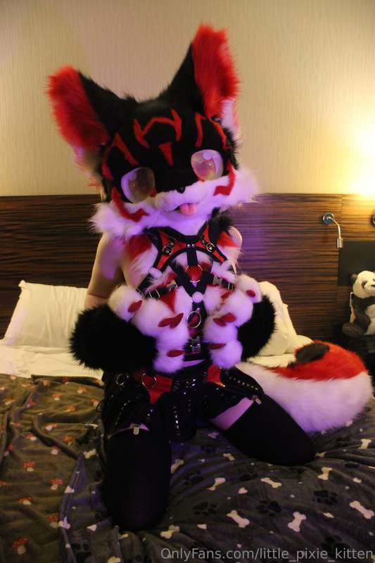 Koji pics in the hotel! ♥️🖤🤍 3