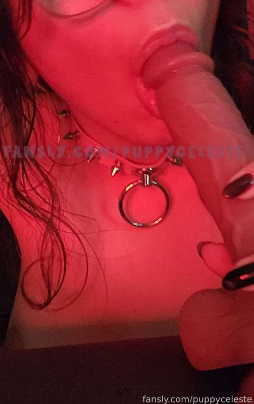 Puppyceleste - Fansly - 26 Jul, 2024