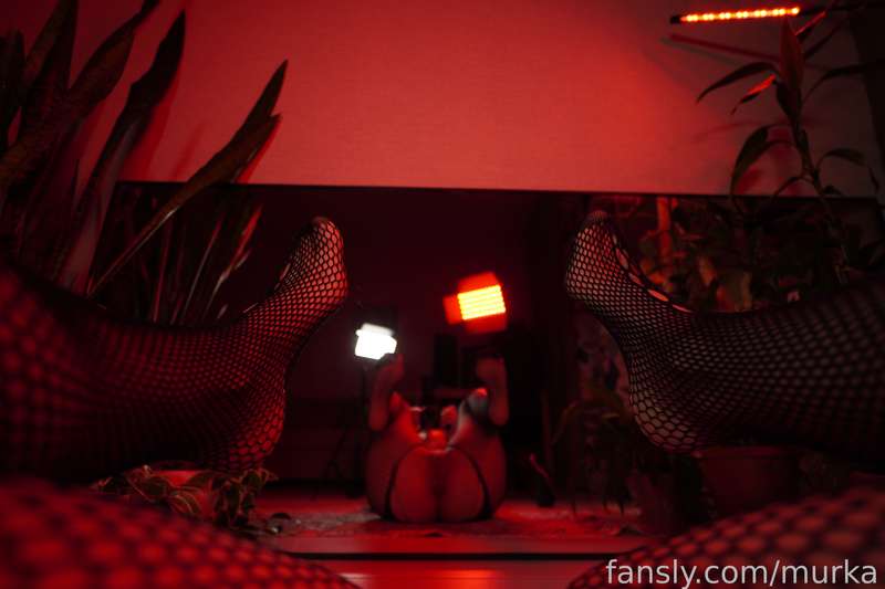 Murkameow - Fansly - 06 Feb, 2025 2