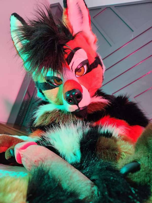 Yote ready for some play time 🐶💦   Come join?   He definitel.. 4