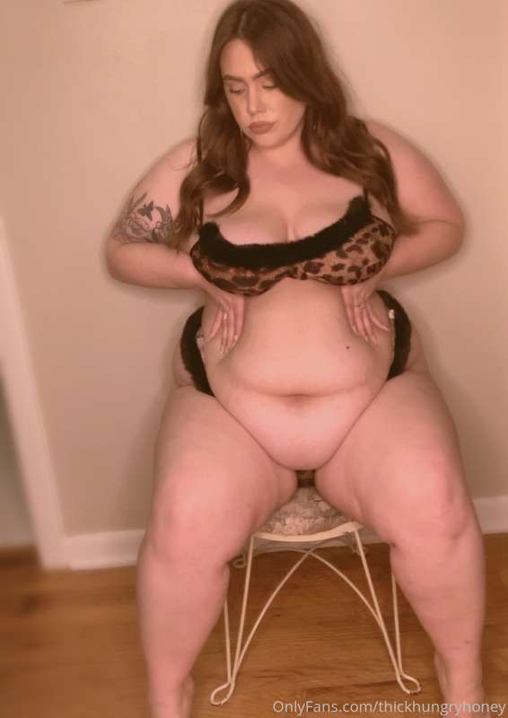 Your piggy housewife gained a little weight from Christmas g.. 12