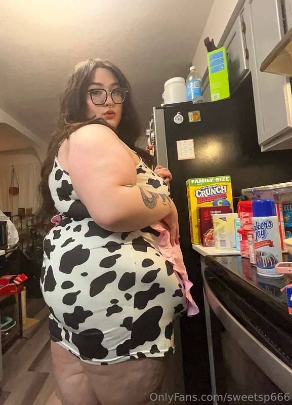 🍰🐽 3