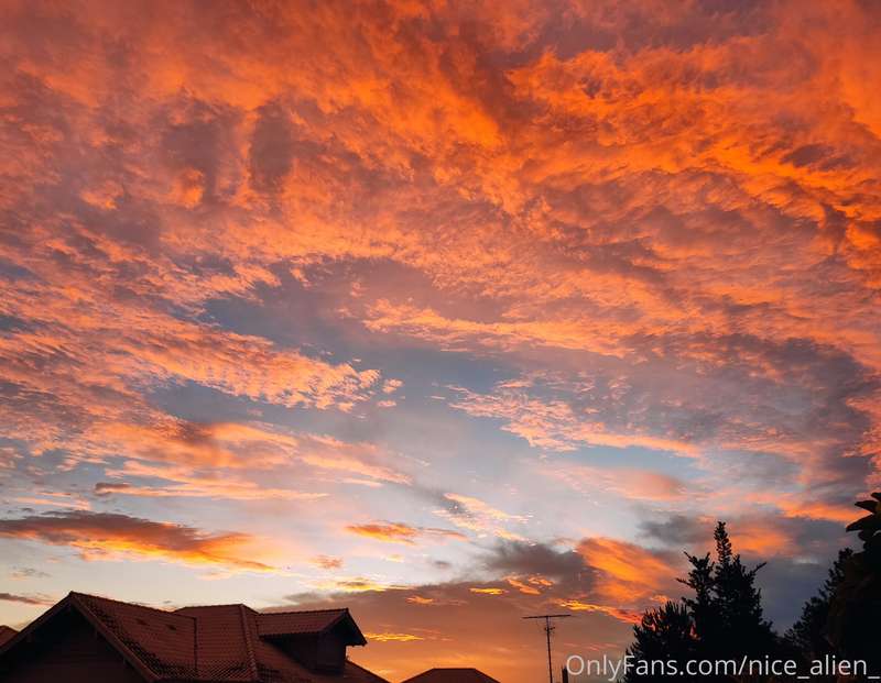 I hope your Saturday is doing as nice as this sunset