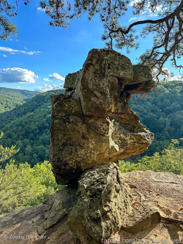 Zoebytheriver - Fansly - 16 Aug, 2023 9