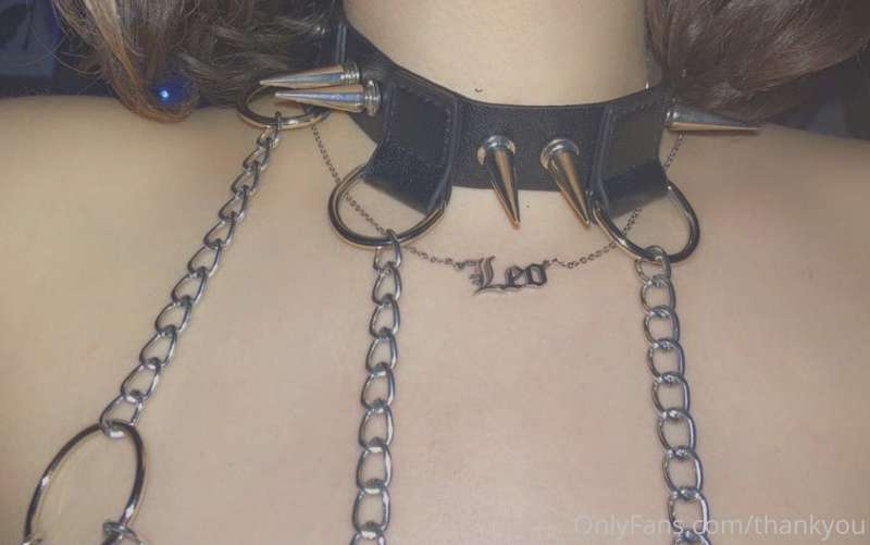Like my new collar?