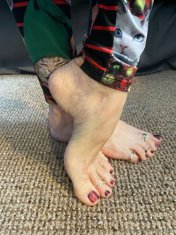 Pretty feet, polished toes, and dainty toe rings complementi.. 4