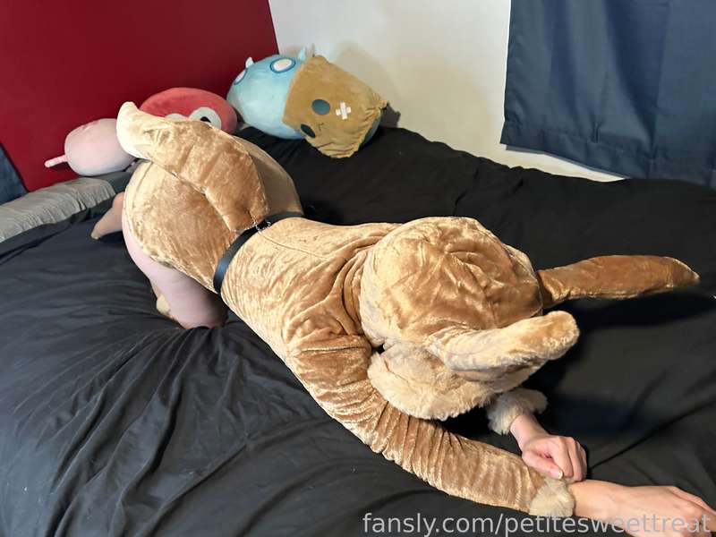 Petitesweettreat - Fansly - 16 Oct, 2024 14