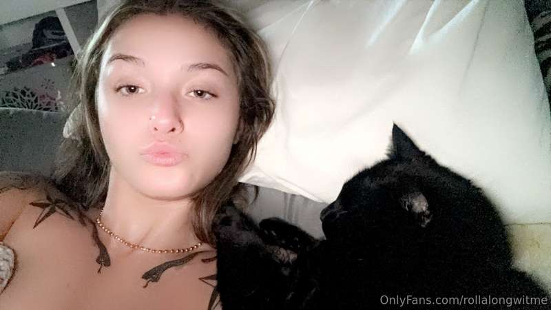 My kitty