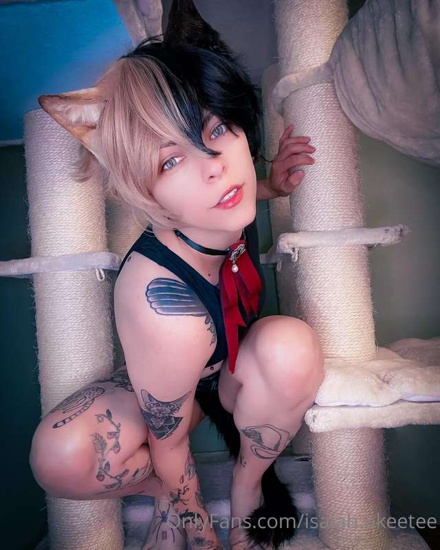 POV.: cat is waiting for you coming home!