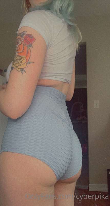 Dinosaur crop top plus a fat camel 👀 4