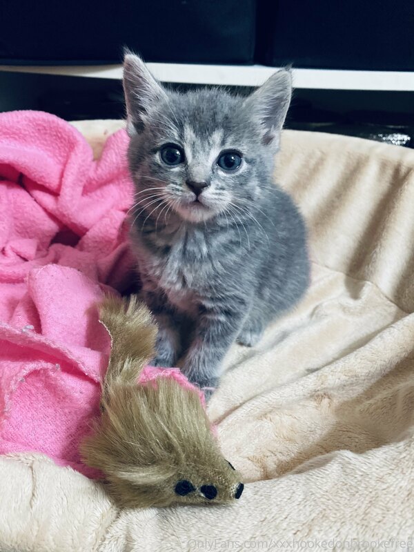 my new baby stormi ???✨?