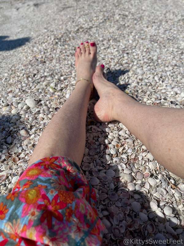 I love all these tiny little shells on the beach.  4