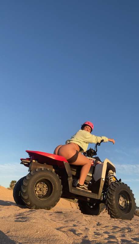Honk if your horny