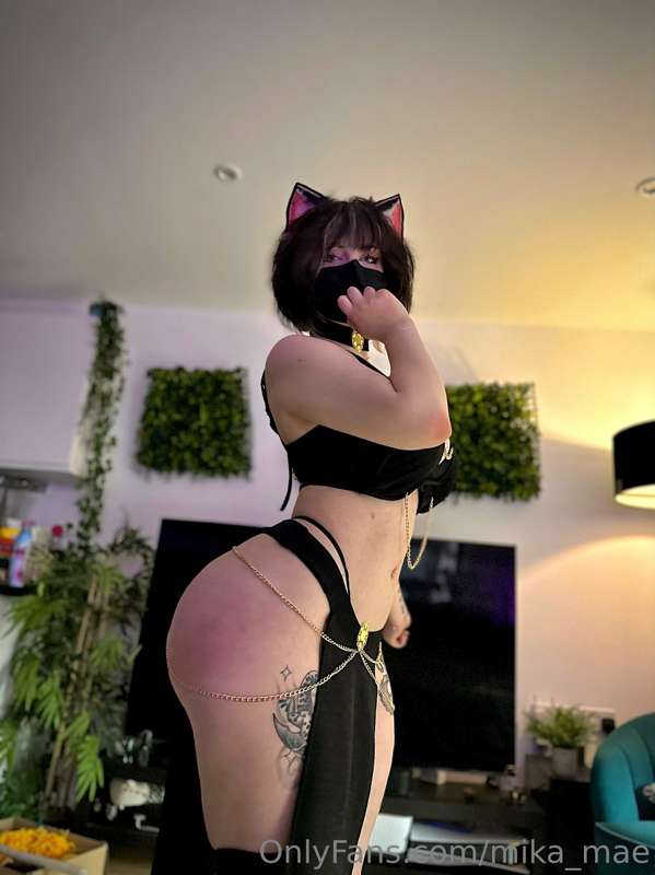 Kitten for sale: Now only 69 Robux and 3 Kisses 🐱💞

The tip .. 3