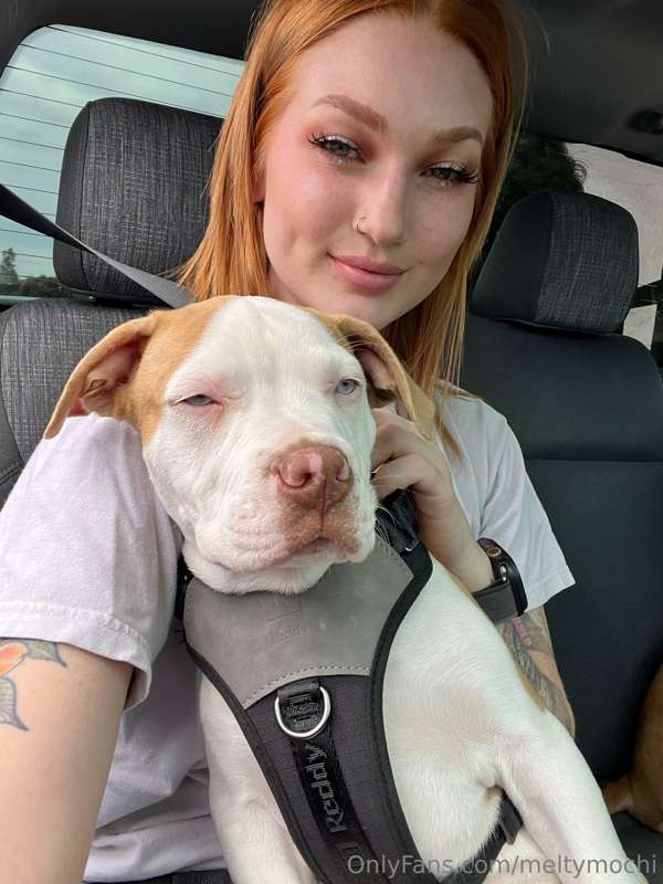 So I’ve been fostering two cute little puppies, trying to fi.. 4