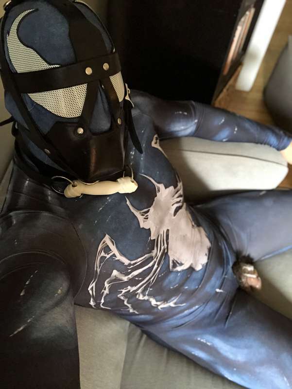 suited up venom puppy for the day
